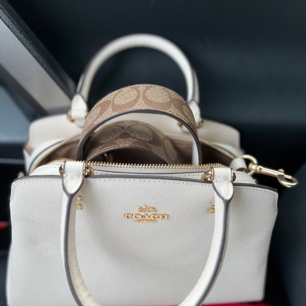 Mini Lillie Carryall With Signature Canvas Detail